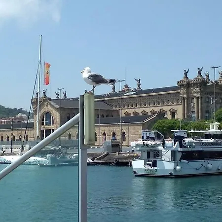 Barcelona Проживание в семье Барселона